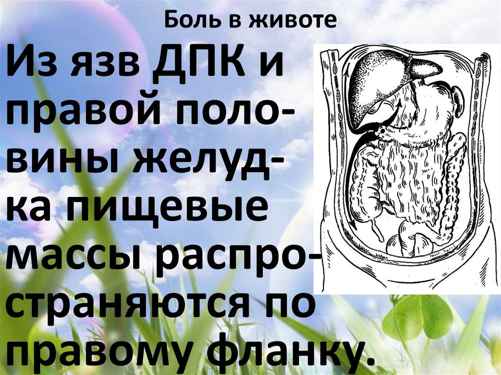 Боль в животе