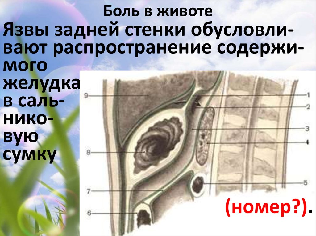 Боль в животе