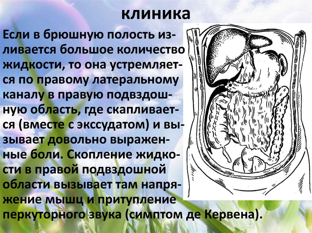 клиника
