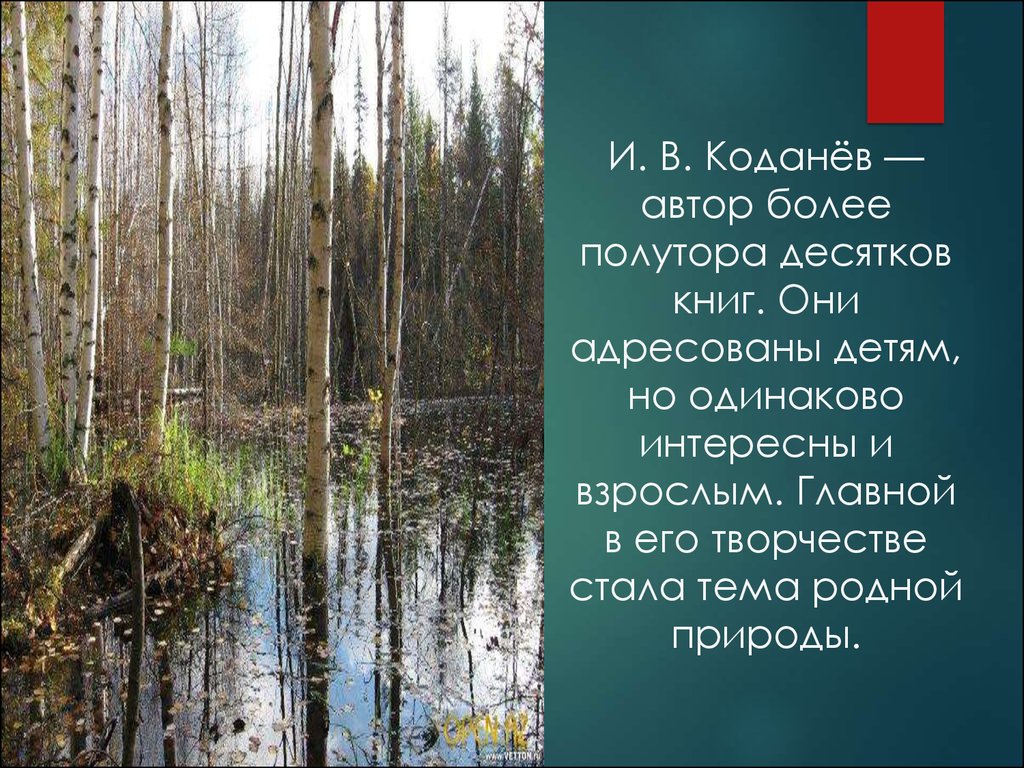 Больше полутора. Иван Коданев Коми писатель. Коданёв Иван Васильевич. Иван Коданев Коми писатель презентация. Коми Писатели о природе.