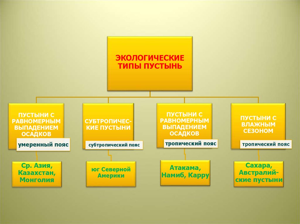 Типы пустынь. Отчет об исполнении бюджета. Направление деятельности НПФ. Отчетность об исполнении федерального бюджета. Направлениядеятельности фон.