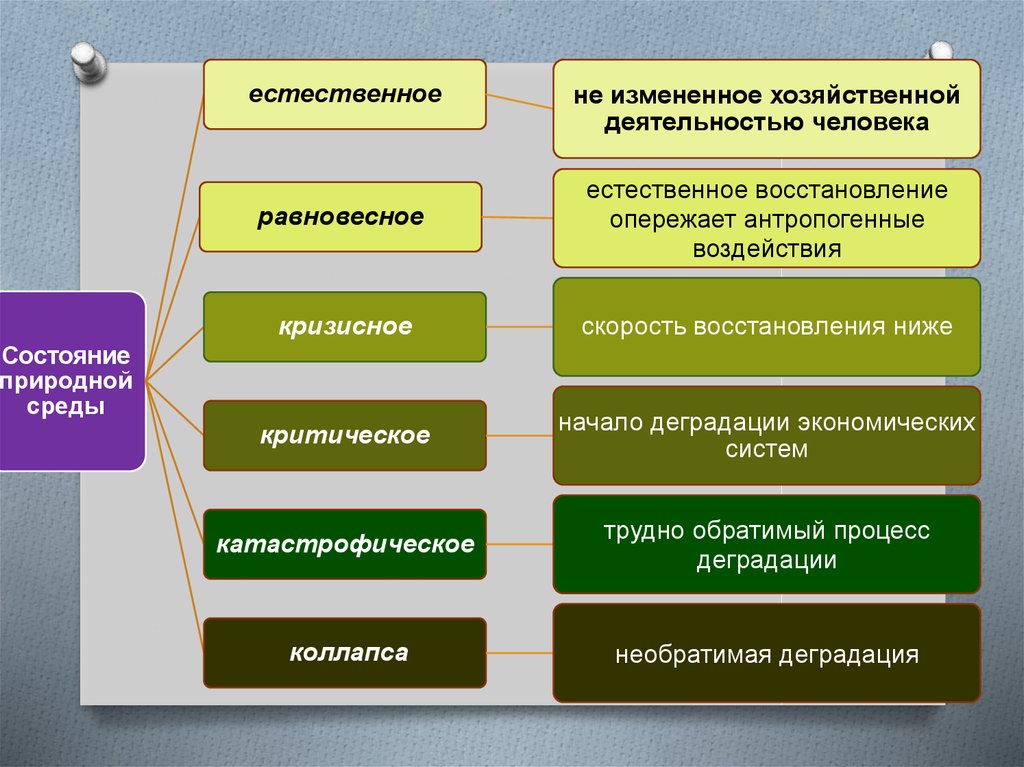 Индивидуальный проект общество и природа