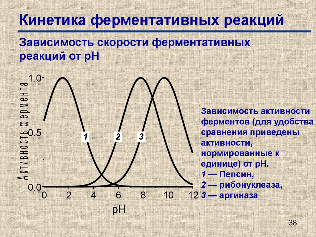 Презентация кинетика ферментативных реакций