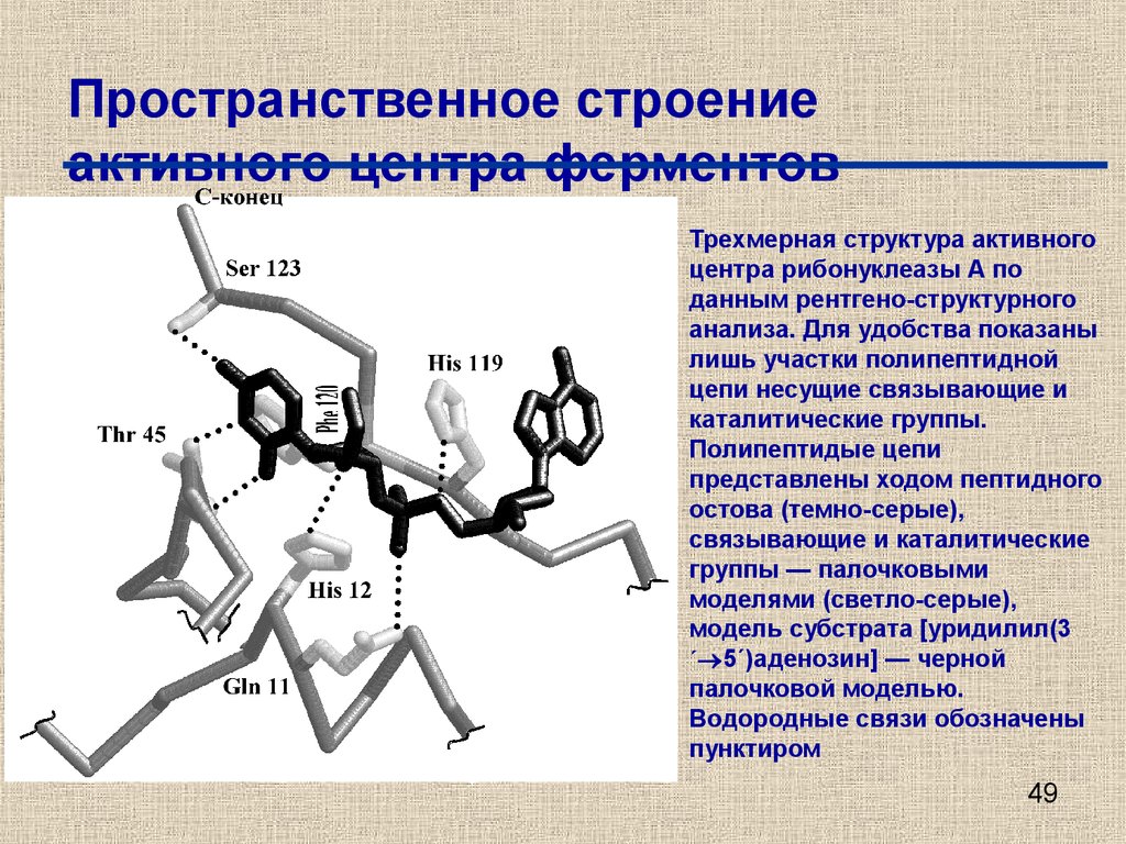 Хода представляет собой