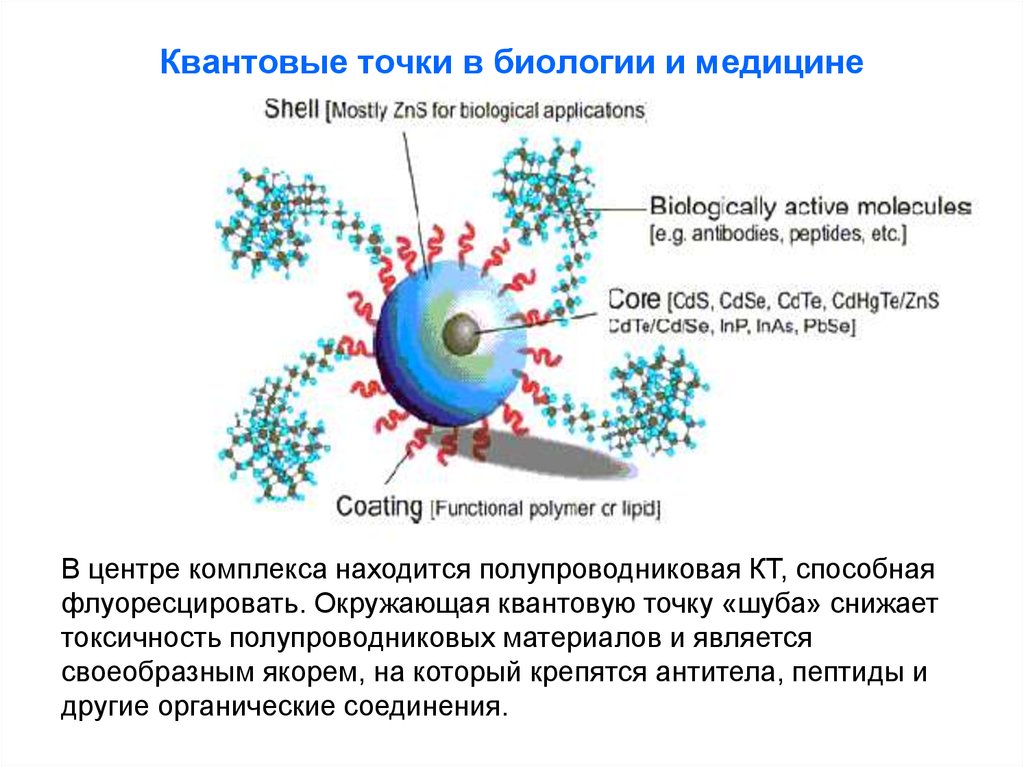 Биология точки. Квантовые точки в медицине. Квантовые точки в нанотехнологии. Применение квантовых точек. Квантовая точка строение.