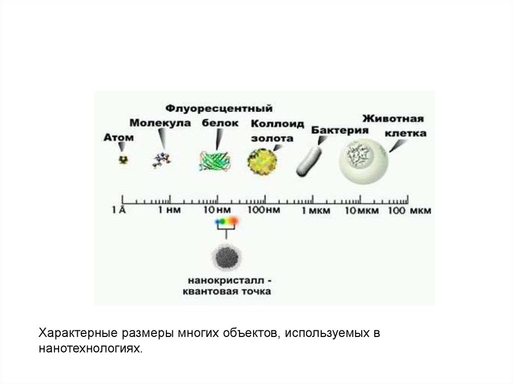 Нанотехнологии в биологии 10 класс презентация
