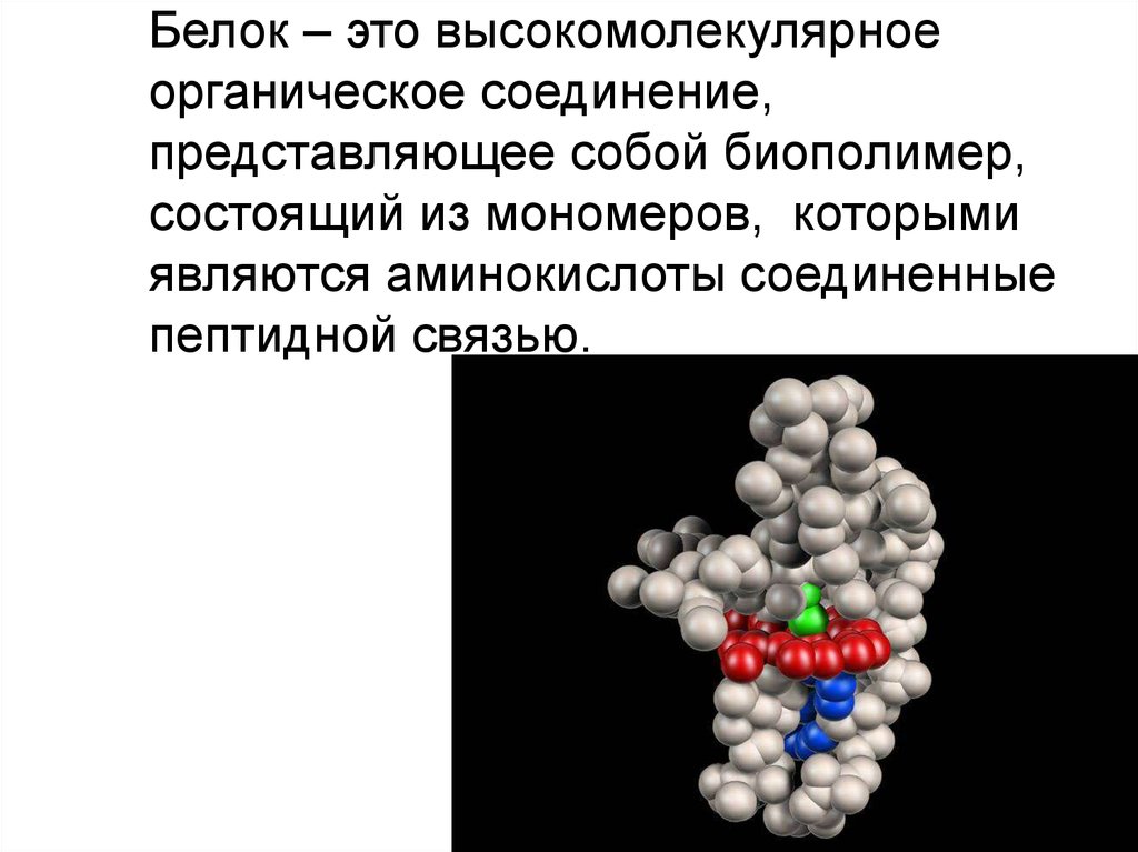 Белки являются соединениями. Азотсодержащие органические соединения белки. Белки биология. Белки это высокомолекулярные соединения. Белки это высокомолекулярные органические вещества.