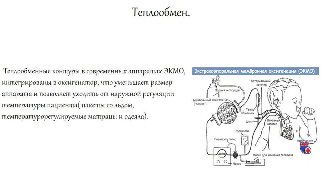 Теплообмен.