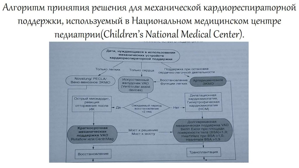 Алгоритм принятия решения для механической кардиореспираторной поддержки, используемый в Национальном медицинском центре