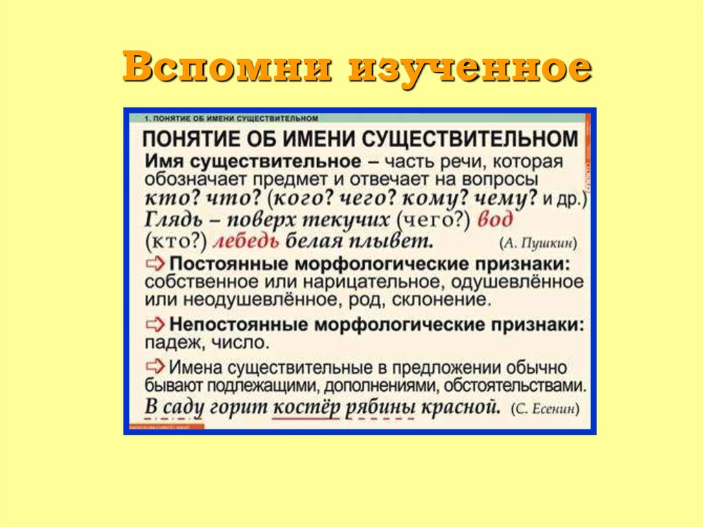 Имя существительное презентация