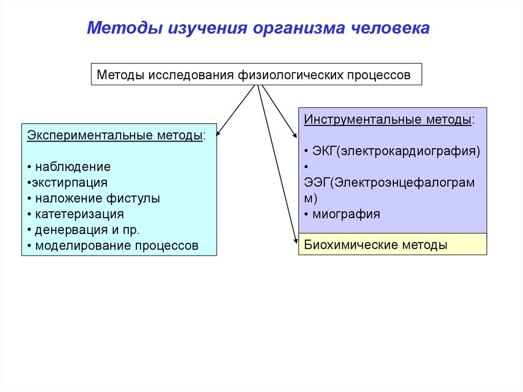 Методы исследования человека