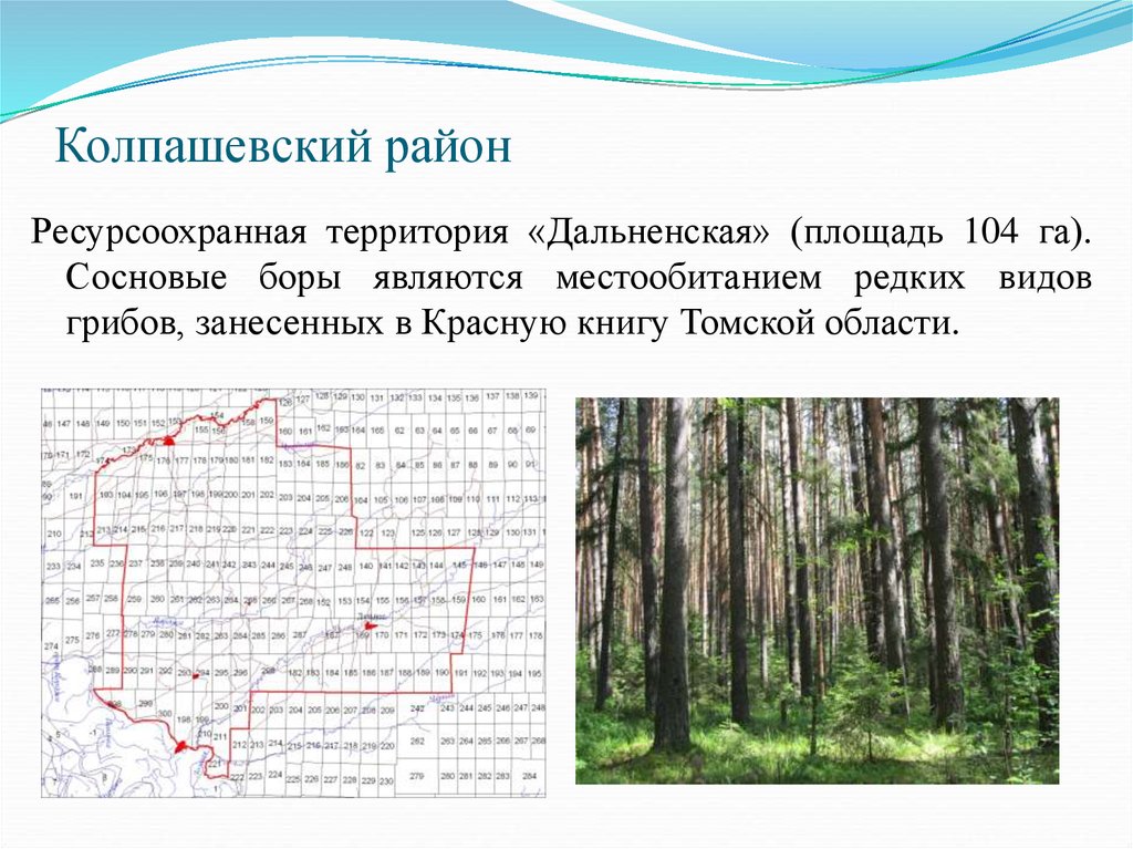 Карта осадков сосновый бор. ООПТ Томской области.