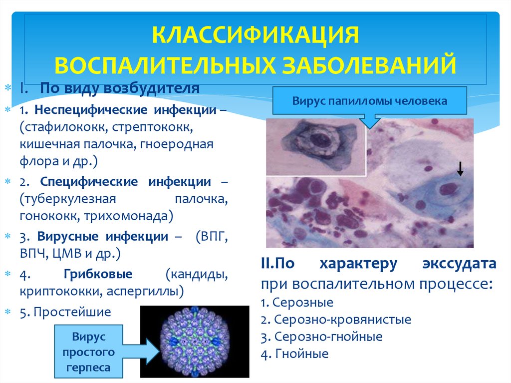 Неспецифические воспалительные заболевания в гинекологии презентация