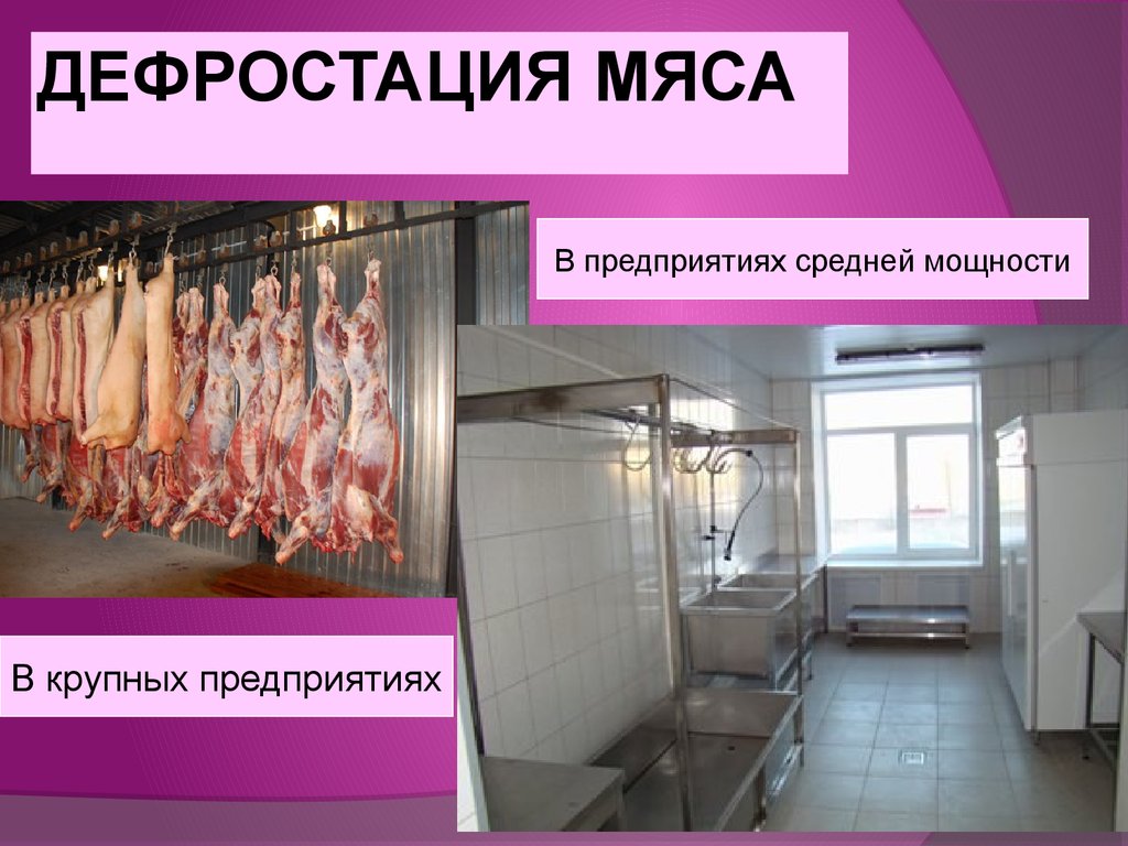 Организация мясного цеха презентация