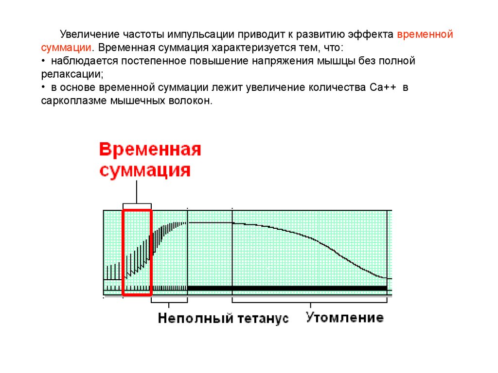 Усиление частоты. Частота импульсации мышцы. Увеличение частоты. Напряжение мышцы это физиология. Усиление напряжения мышц.