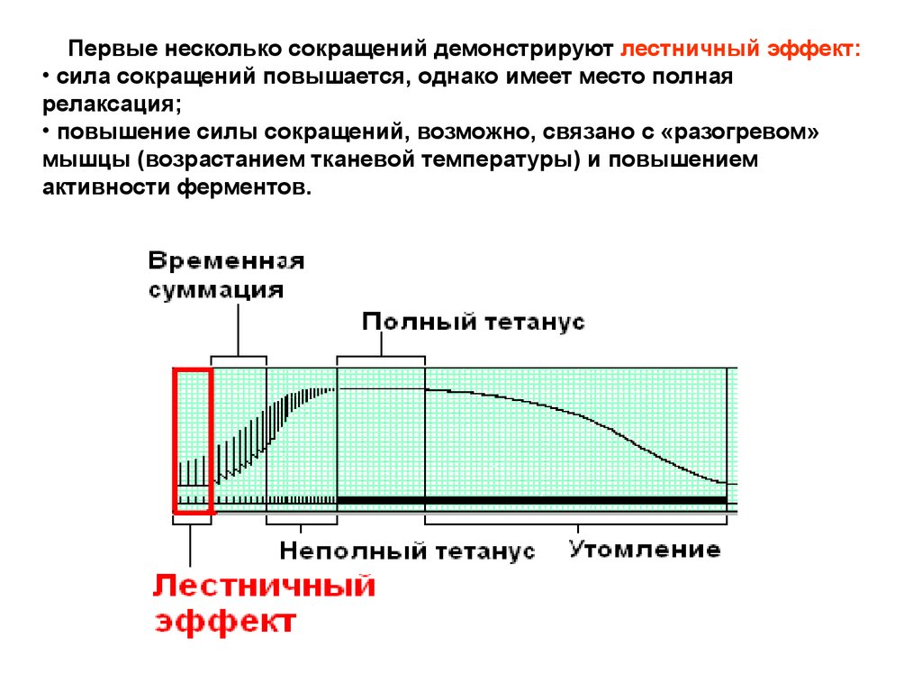 Сила сокращений. Эффект усиления мощности. Сокращение мышц температура. Сила сокращения мышцы увеличится. Усилия эффекты.