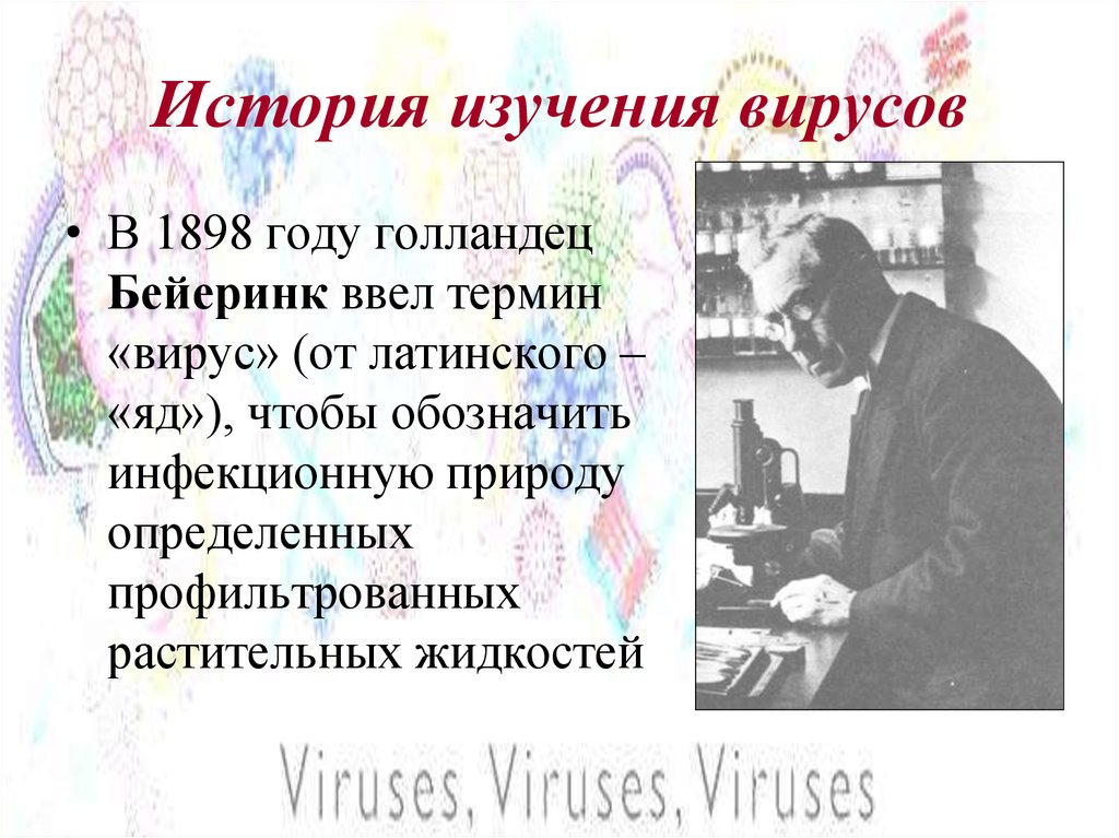 История изучения вирусов