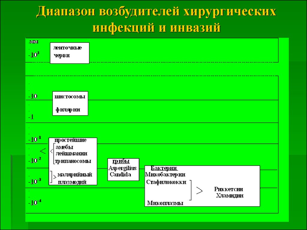 Общие вопросы хирургической инфекции. Возбудители хирургической инфекции. Теоретические аспекты хирургической с инфекции. Хирургические инфекции животных.