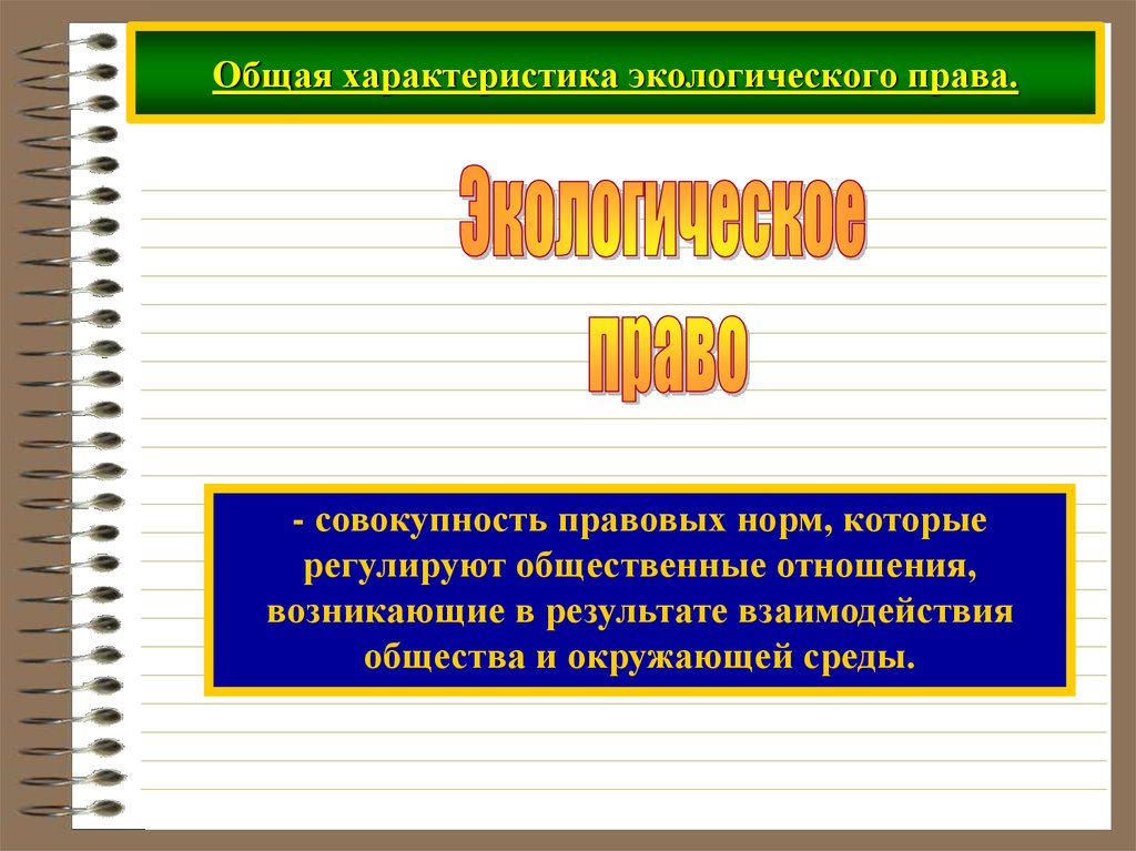 Экологическое право сложный план 10 класс