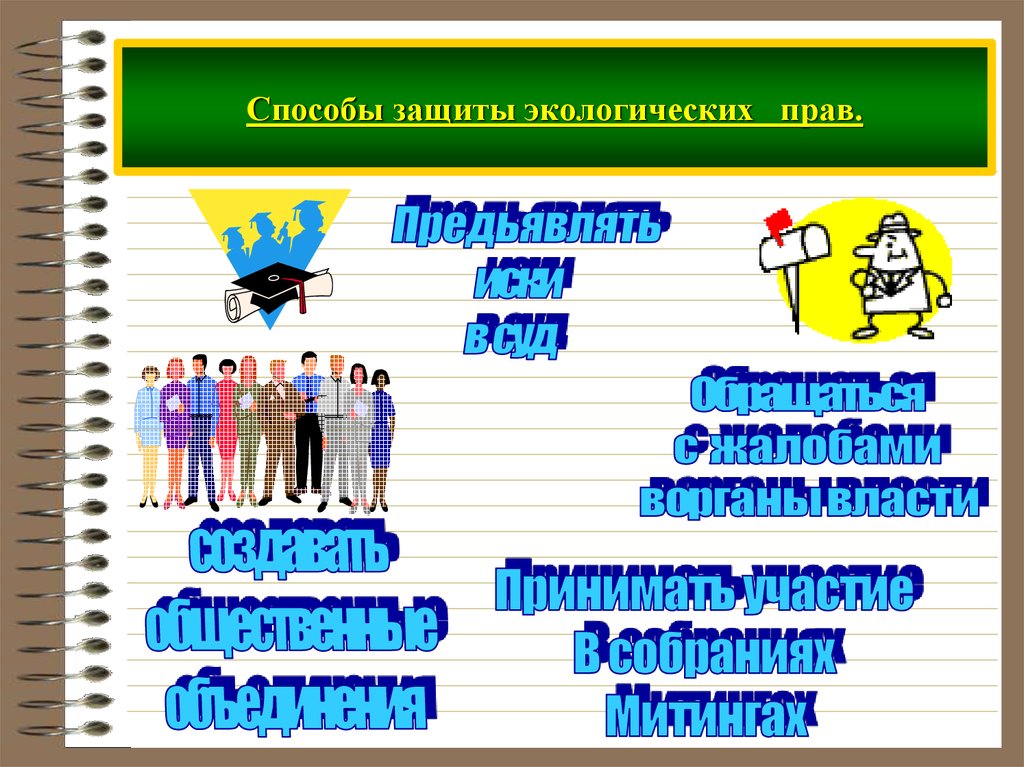 Экологические права и способы их защиты план