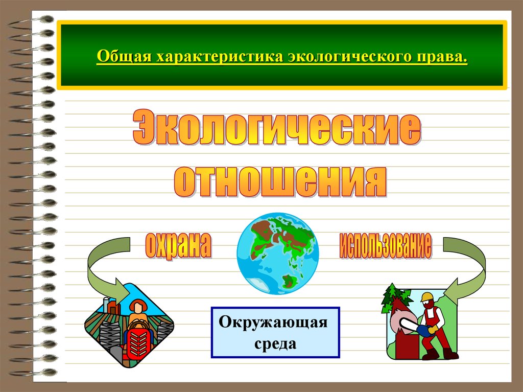 11 класс обществознание экологическое право презентация