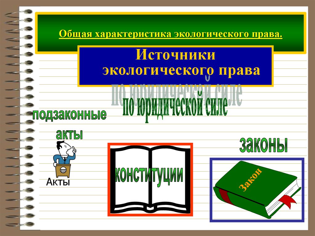 План по обществу экологическое право