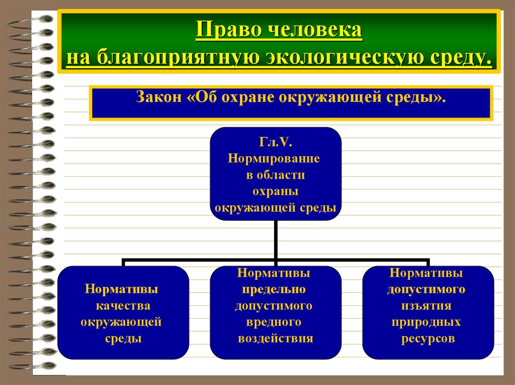 Окружающая среда план егэ