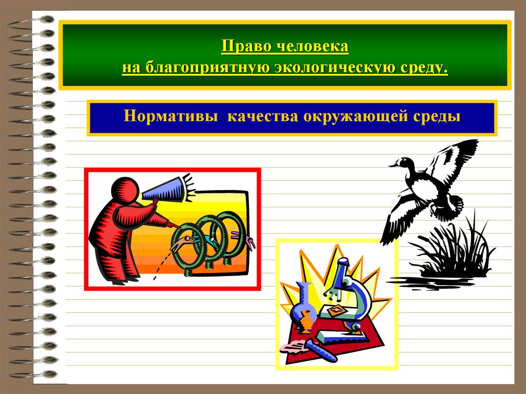 Право граждан на окружающую среду. Право человека на окружающую среду. Право человека на благоприятную. Право человека на благоприятную среду. Право на экологическую благоприятную среду.