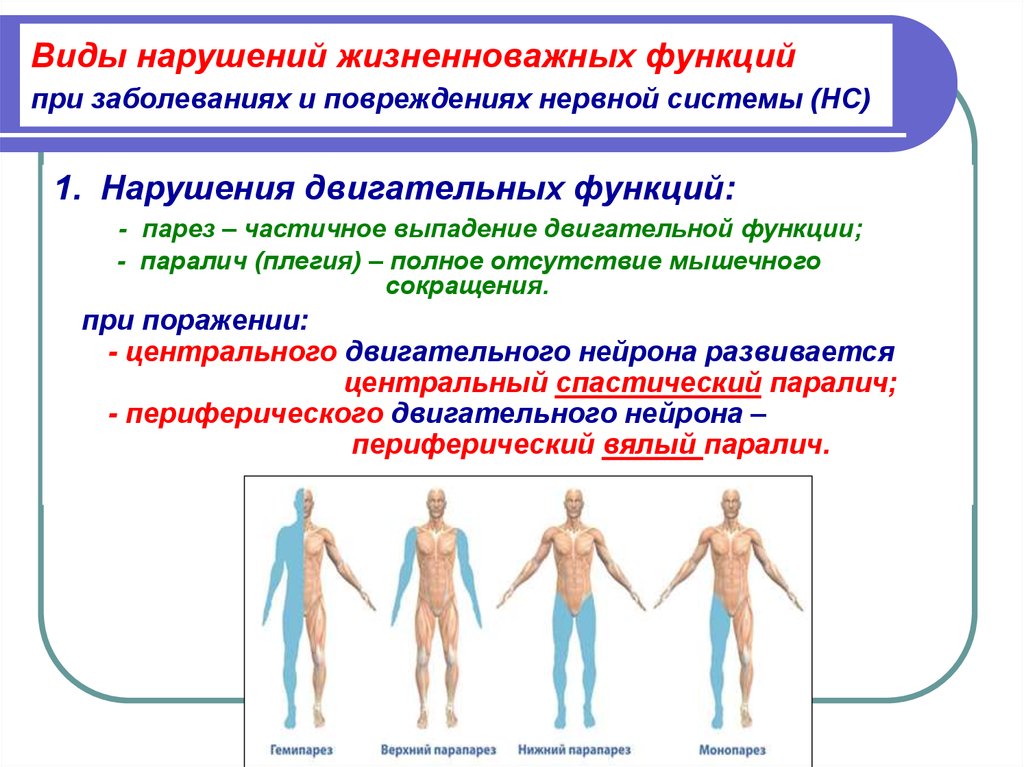 Виды патологий. Расстройство двигательной функции нервной системы. Типы нарушения двигательной функции. Формы расстройства двигательной функции нервной системы. Нарушение двигательной функции нервной системы.