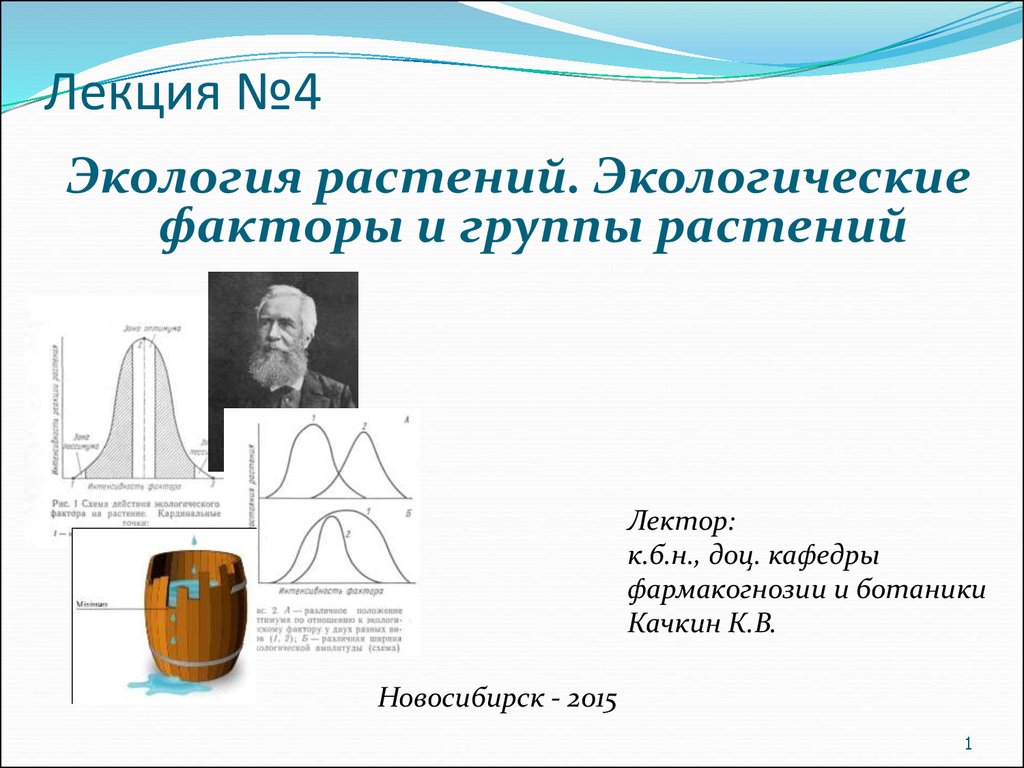 Экология растений. Экологические факторы и группы растений (Лекция №4) -  презентация онлайн