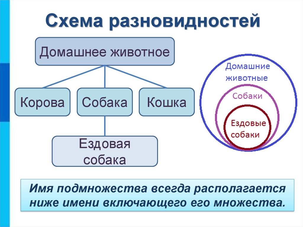 Проект 6 класс по информатике на тему отношения объектов и их множеств