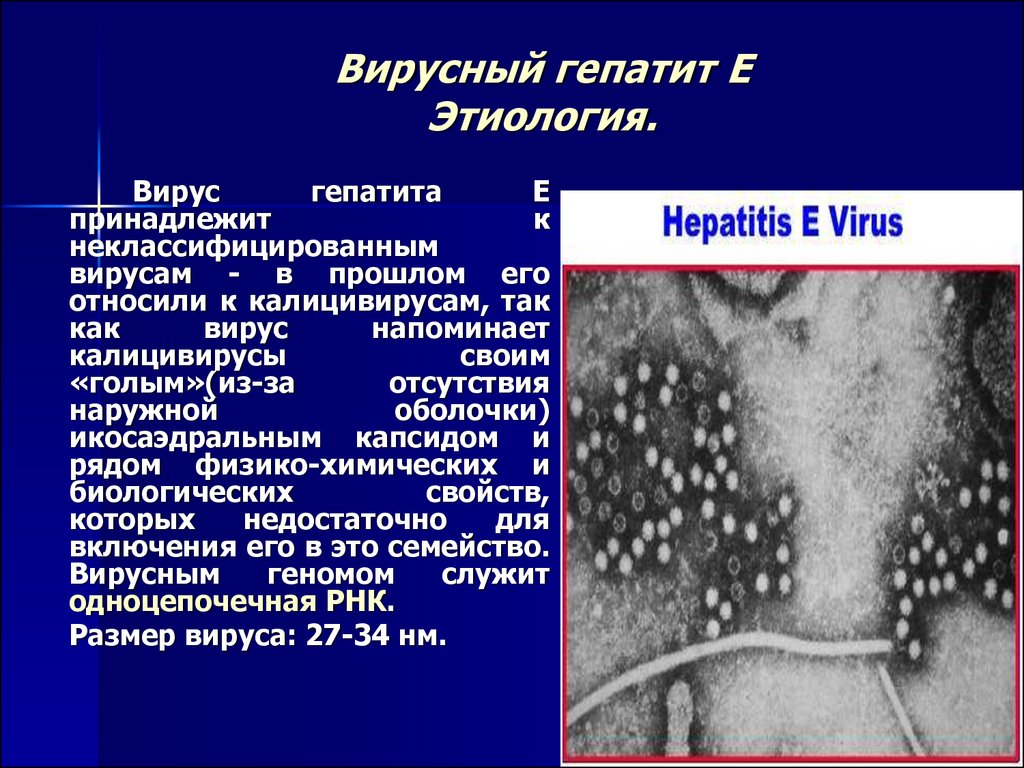 Стул при вирусных гепатитах