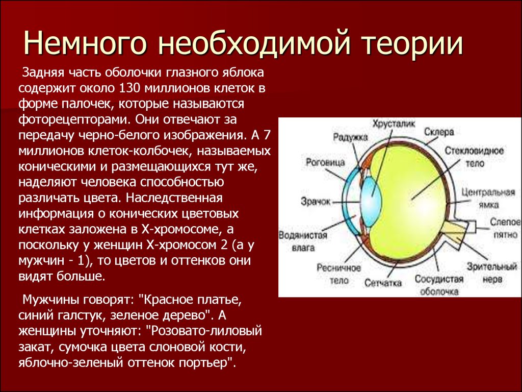 Какие особенности нашего зрения положены в основу формирования изображения