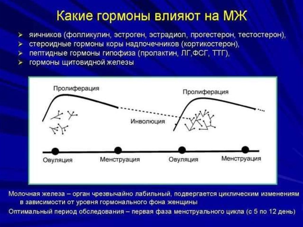 Молочная железа гормон. Гормоны влияющие на молочные железы. Влияние гормонов на молочную железу. Гормоны влияющие на функцию молочной железы. Перечислите гормоны влияющие на функцию молочной железы.