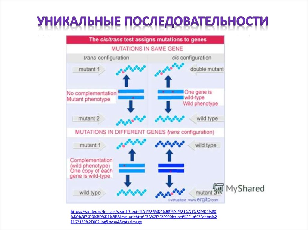 Аштанга 1 серия последовательность в картинках