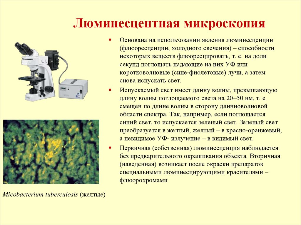 Микроскопией называют метод микроскопии. Люминесцентная микроскопия микробиология. Люминесцентная микроскопия принцип. Методика люминесцентной микроскопии. Метод люминесцентной микроскопии.