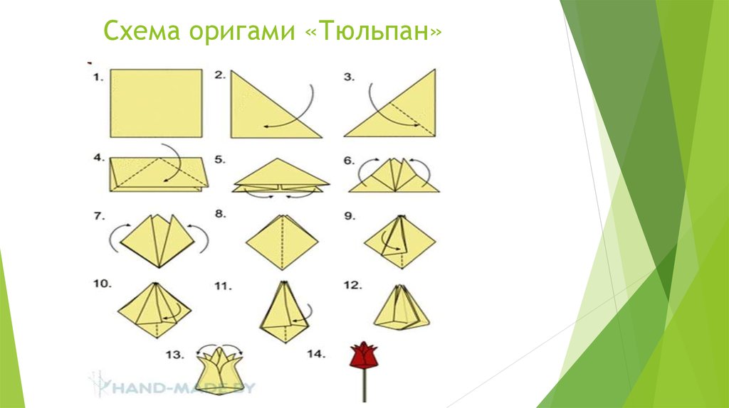 Как сделать тюльпан из бумаги поэтапно. Тюльпан из бумаги оригами пошагово для детей. Оригами тюльпан пошагово для начинающих. Тюльпан оригами пошагово для детей. Тюльпан оригами пошаговая инструкция для детей схема.