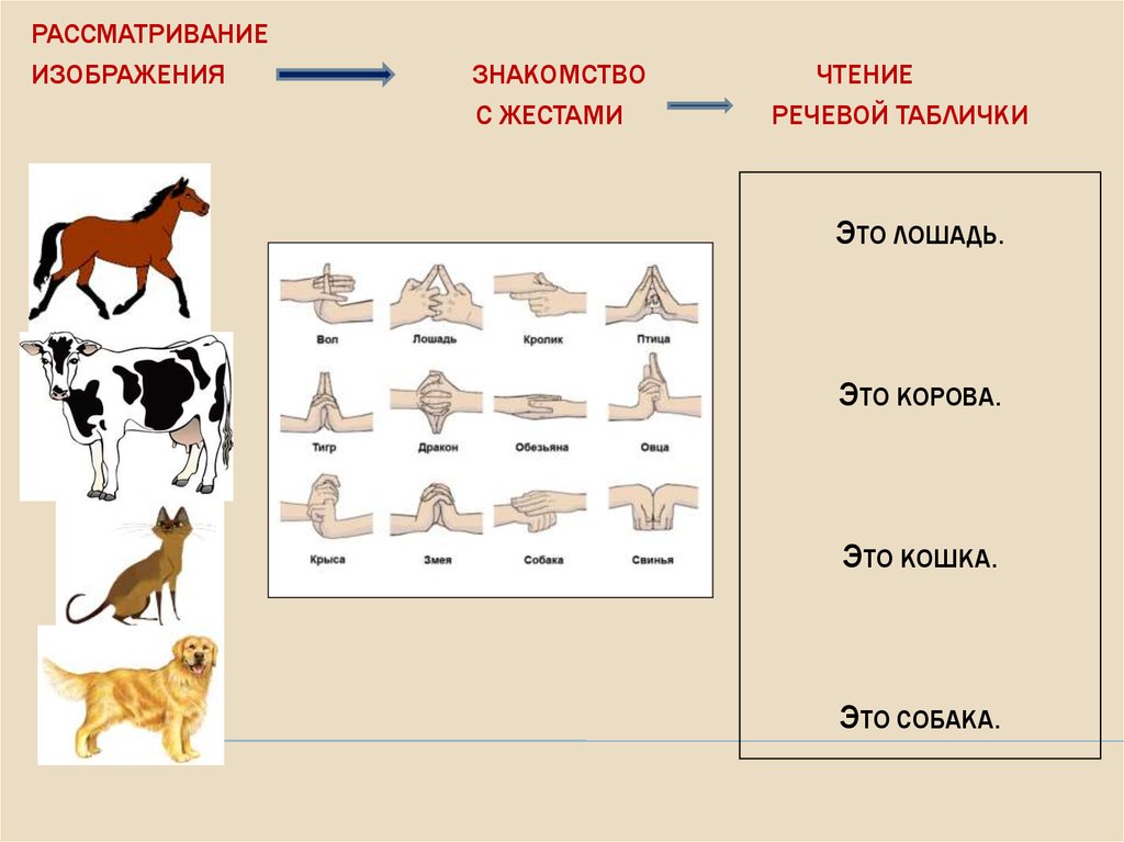 Сипр человек 2 класс 2 вариант. Сипр человек 2 класс 2 вариант