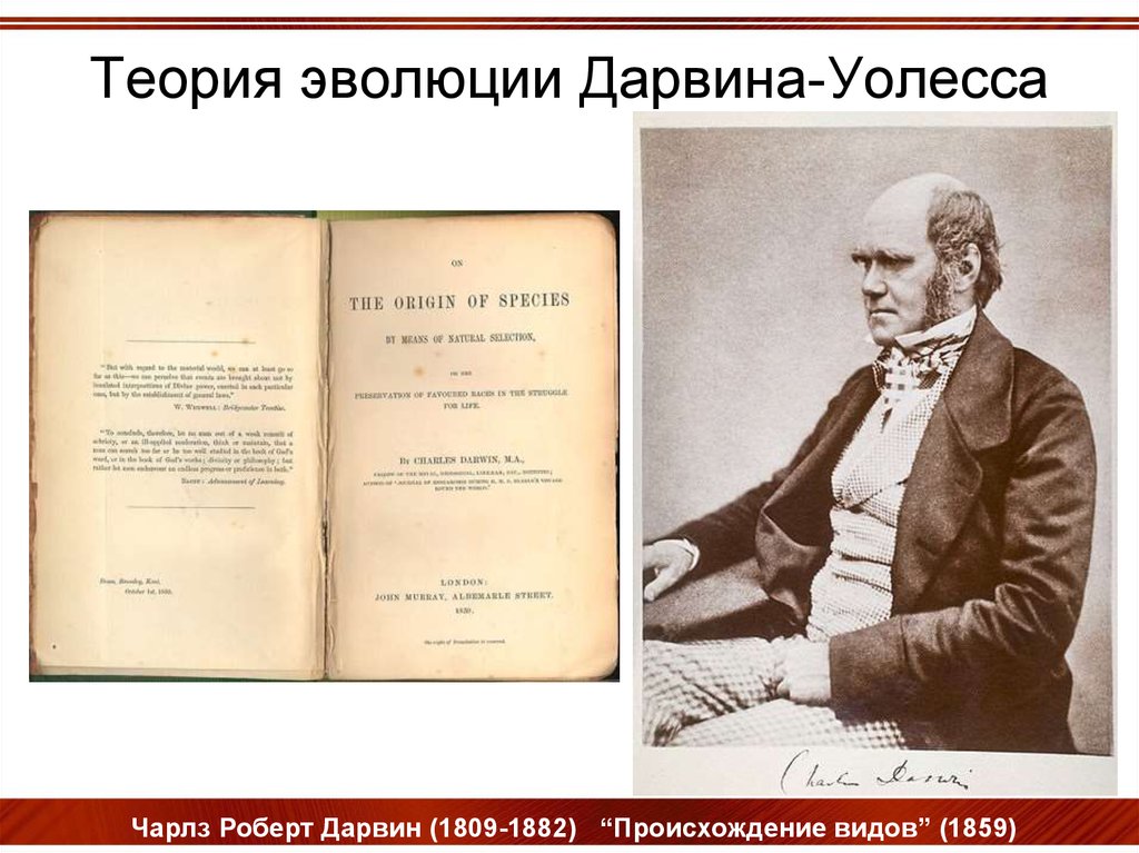 Эволюция дарвинизм. Эволюционное учение Дарвина 1859. Теория развития Дарвина. Эволюционная теория Дарвина. Дарвиновская теория эволюции.