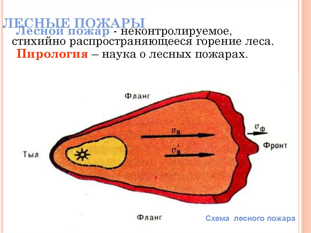 Схема тушения лесного пожара пример