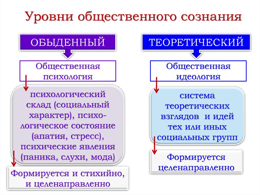 Человек и общество сознание. Уровни общественного сознания. Индивидуальное и Общественное сознание структура. Теоретический уровень общественного сознания. Обыденный и теоретический уровни общественного сознания.