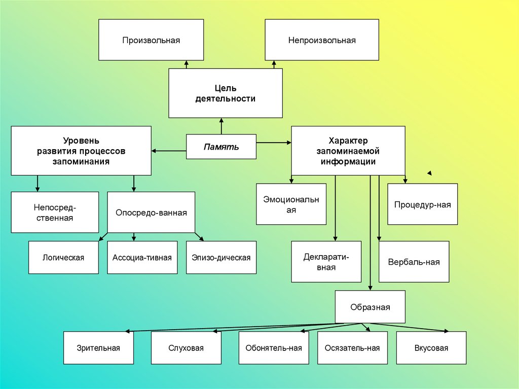 Психофизиология в схемах и комментариях психофизиология