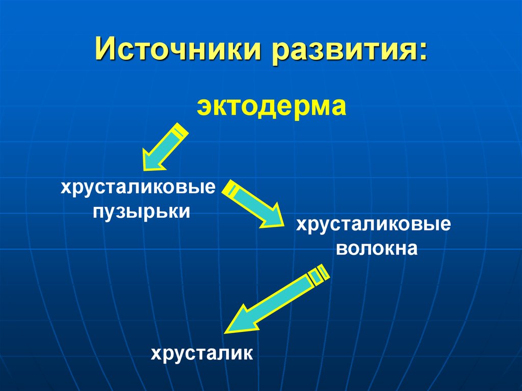 История развития источников информации. Источники развития. Источники развития языка. Хрусталиковые волокна. Хрусталиковый пузырек.