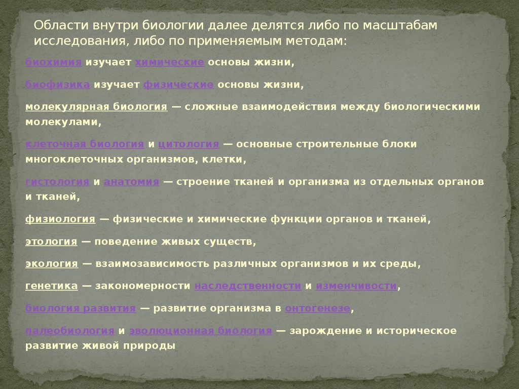 Области внутри биологии далее делятся либо по масштабам исследования, либо по применяемым методам: