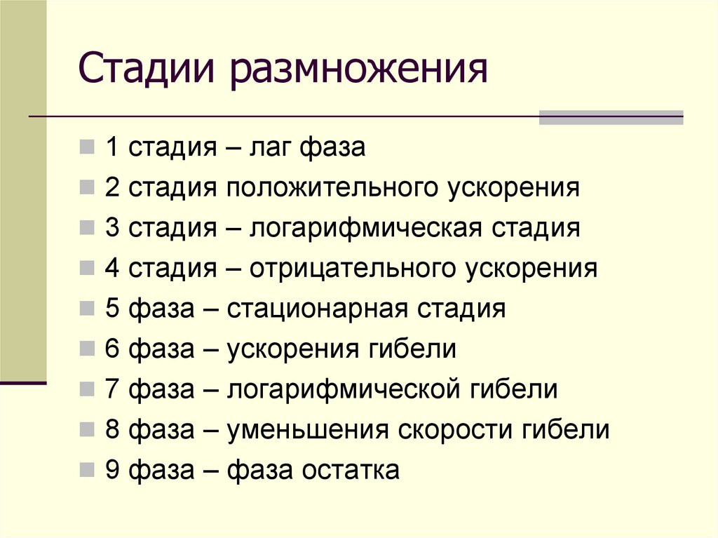 Этапы размножения. Стадии размножения. Стадии. Фаза размножения. Стадия размножения кратко.