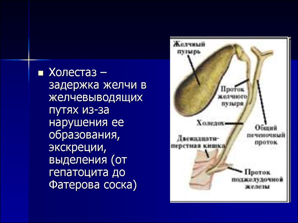 Желчь поднялась