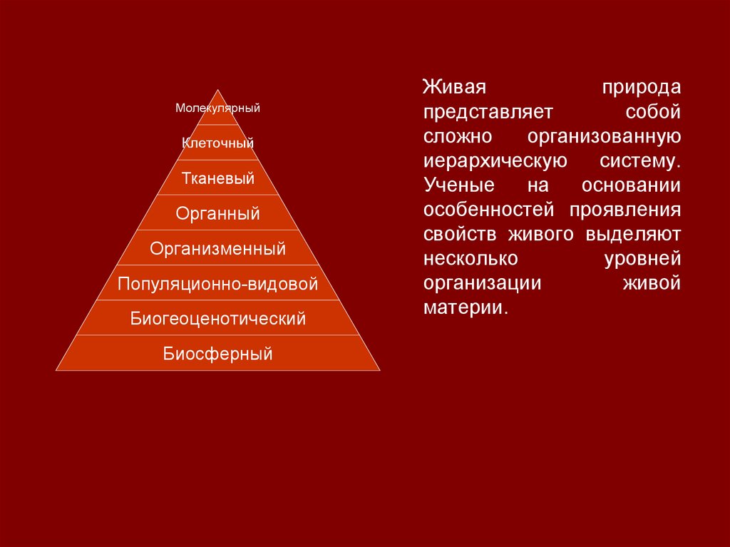 Природа живой материи. Иерархия уровней живой материи схема. Иерархическая структура организации живой материи. Иерархические уровни организации живого. Иерархические уровни организации живой материи.