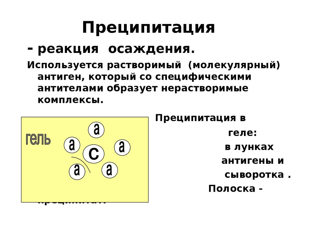 Реакция преципитации картинки