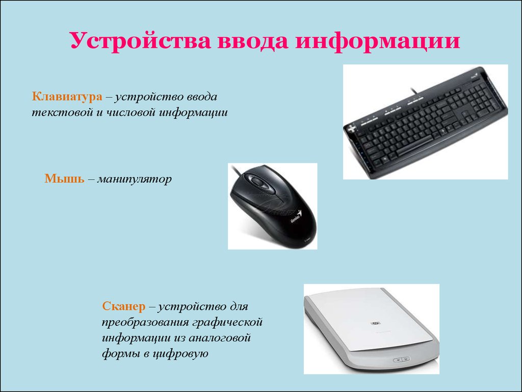 Принтеры сканеры клавиатура мышь. Устройства ввода информации. Устройства ввода клавиатура. Устройства ввода информации клавиатура и мышь. Устройство водоинфрмации.