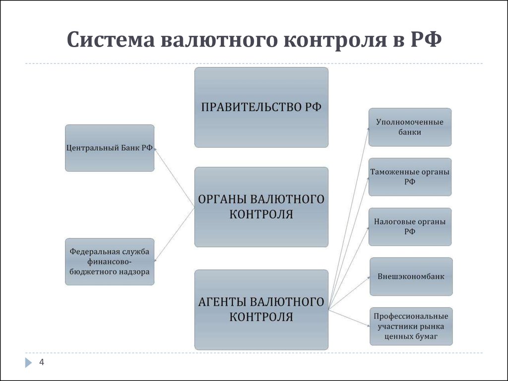 3 валютный контроль. Структура органов валютного контроля. Система валютного контроля в РФ. Органы валютного контроля в РФ схема. Валютный контроль в РФ схема.